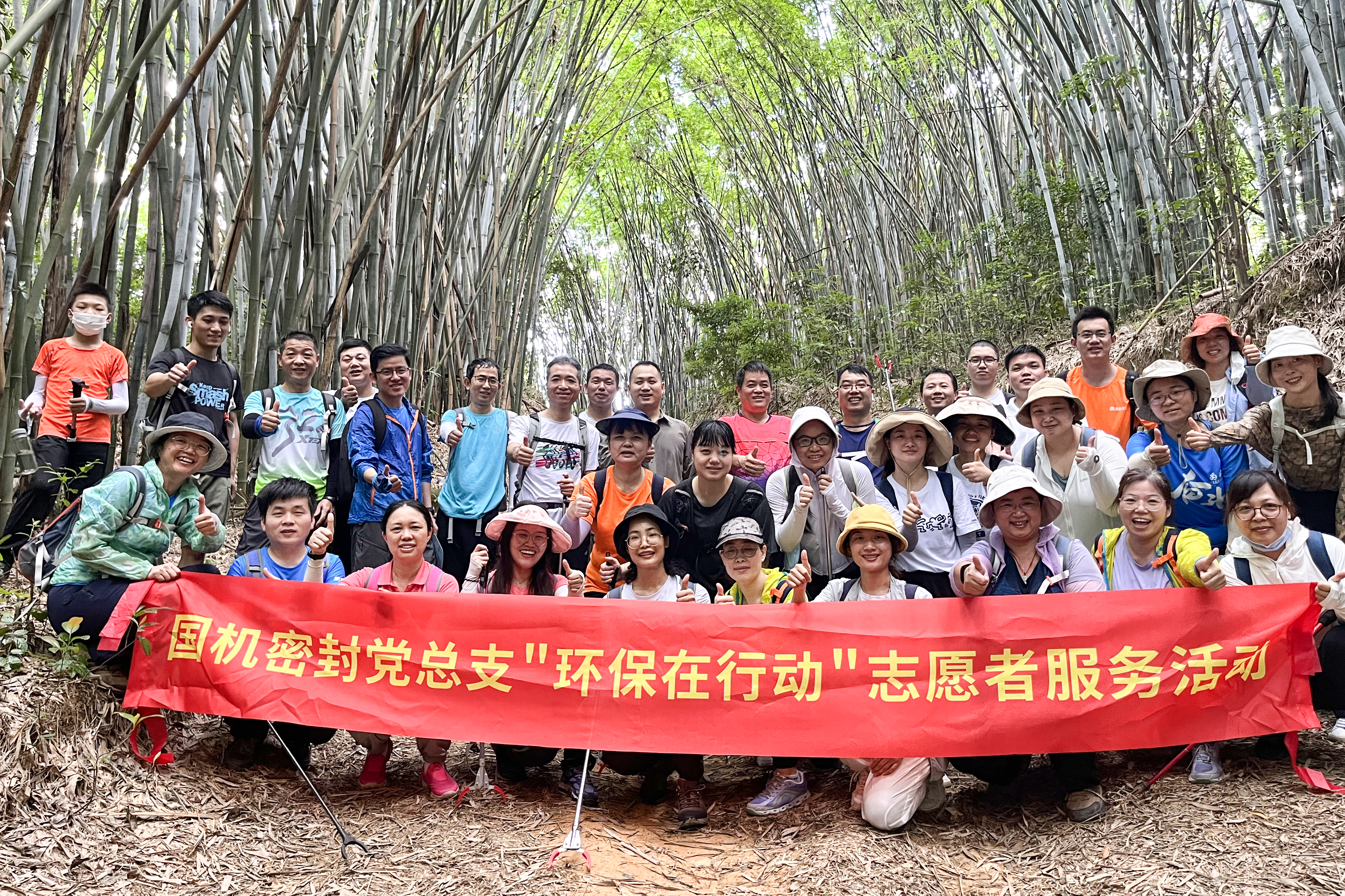 清洁山野,环保当先,党员志愿服务在行动